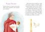 Wielcy przyjaciele Jezusa_Historia św_Karola Acutisa str 4-5.jpg