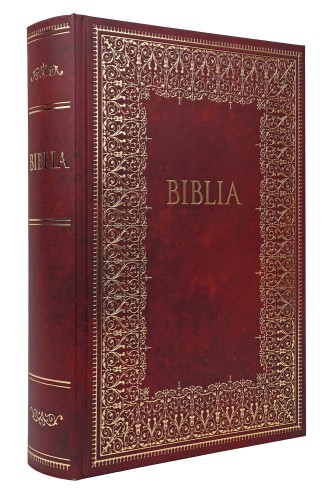 Biblia. Pismo Święte Starego i Nowego Testamentu