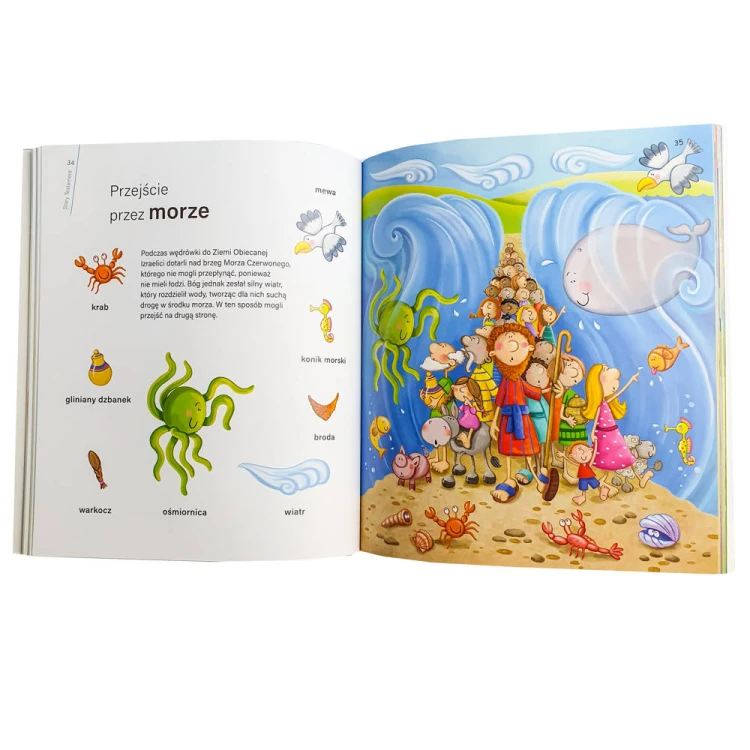 Biblia. Szukaj i znajdź