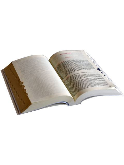 Biblia z rybką, niebieska z paginatorami